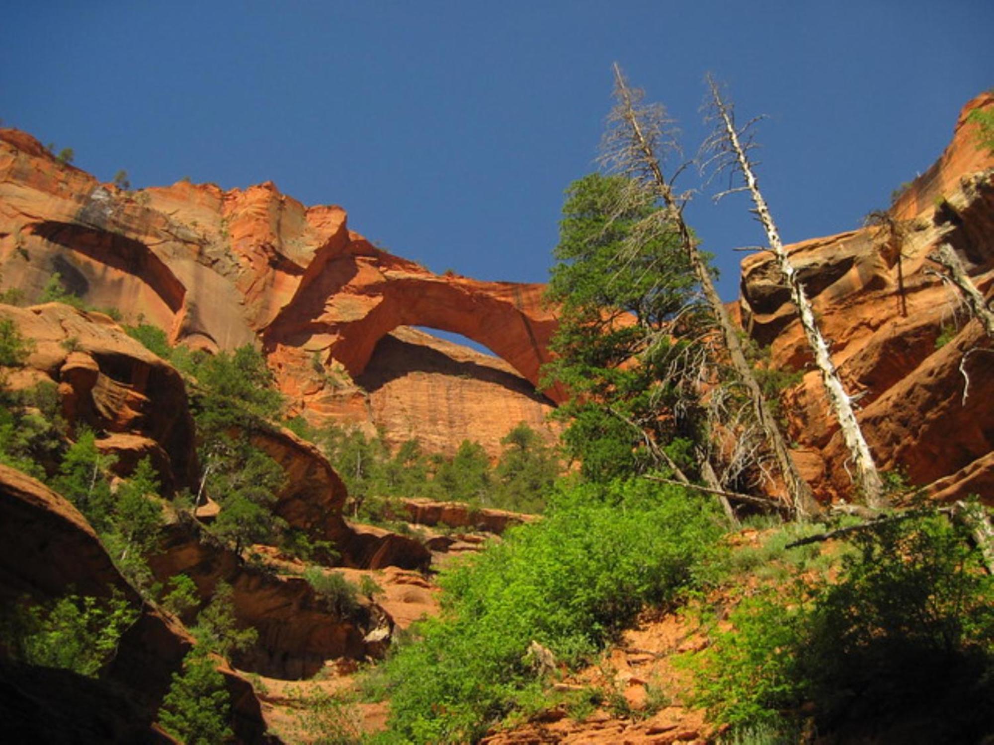 Holiday Inn La Verkin - Zion Park By Ihg Екстер'єр фото